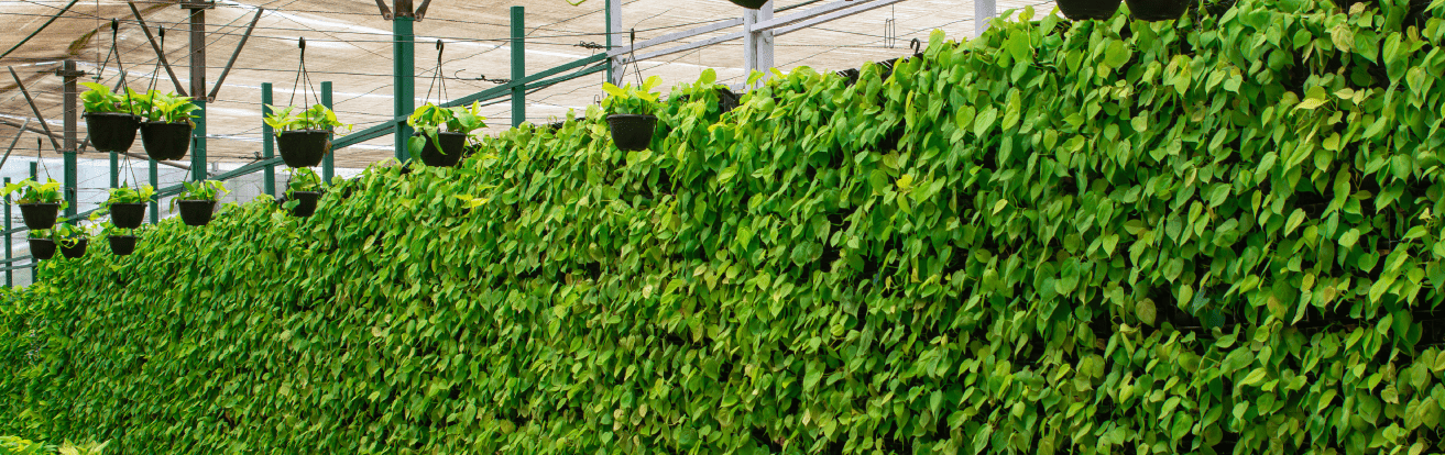 SBL banner